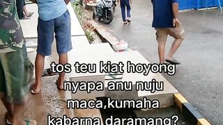 ayam broiler || kata kata lucu 338