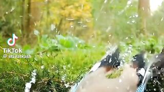 Les oiseaux 2