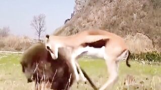 Mom dear save her kid