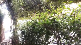 Morning calm