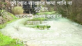 শয়তানের গুনাহ