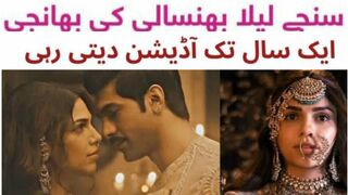 heeramandi teaser | herramandi netflix #heeramandi #heera mandi