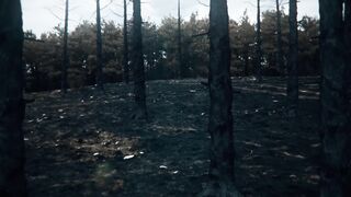 METALWINGS - Fallen Angel in the Hel