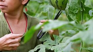 WATERMELON 2