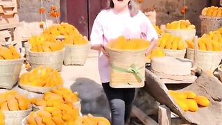 Jumbo mango