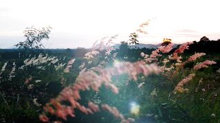 Sunset 52