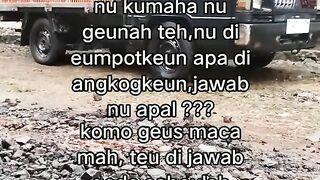 ayam broiler || kata kata lucu 343