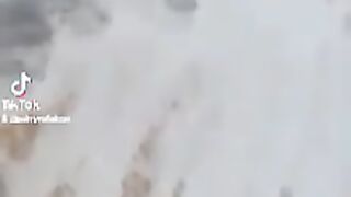 الحماد ٤