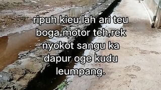 ayam broiler || kata kata lucu 345