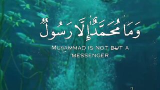 القرآن الكريم 34