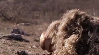 SNIPER-LEGACY (2014) part 7