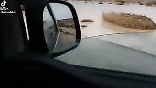 الحماد ٥