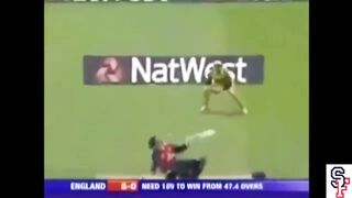 Top ten balls