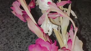 Flowers ???? 4