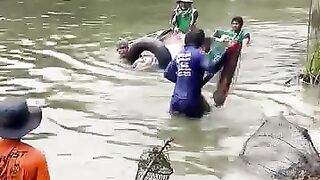 Une belle prise
