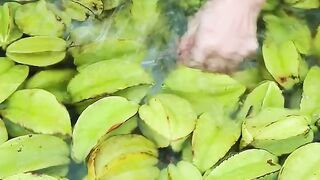 Carambola