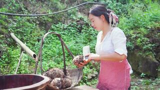 DRIED POTATO