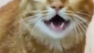 SOUND OF ???? NICE SONG