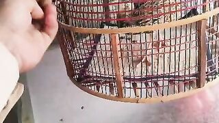 Feed them ll birds