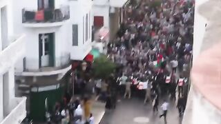 نحن فذاك يافلسطين الحرة