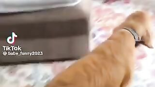 L’Amour ❤️ 2