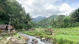 Pagi pagi di sungai yang jernih