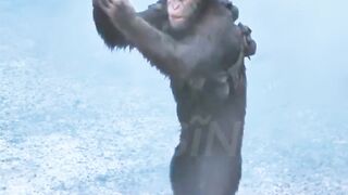 Top trending movie scene | most top rated move of Netflix | planet of apes