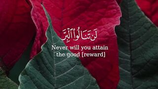 Quran Al Kareem 28