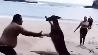 You would believe If you didn't watch this