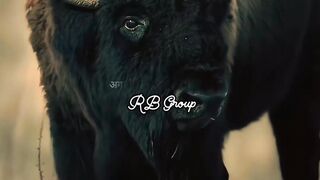 Dark Reality of Life Style RB Group