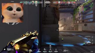 yoru going crazy ace