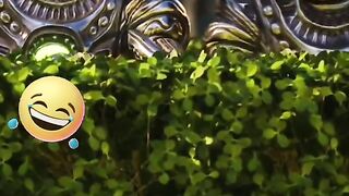 Video de risa 2