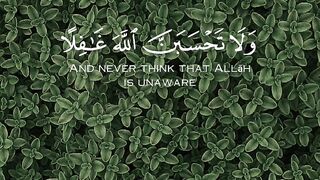 Quran Al Kareem 31