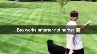 #funnypet 2