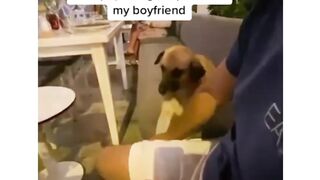 #funnypet 5