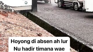 ayam broiler || kata kata lucu 347