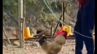Sometimes we do better than human????????!