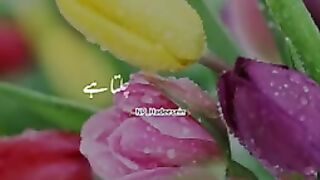 Beautiful video - Great  video Kya Jawab Doge 'Allah' Ko ????_Islamic What's app Status__144p.