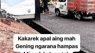 ayam broiler || kata kata lucu 350