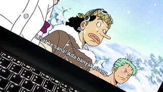 One piece 30