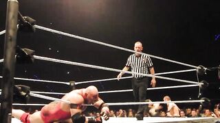 WWE The Shield in 2014