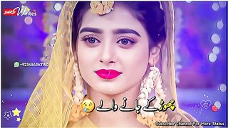 Ay zindgi  tojhy zara bhi//sad song what's app statue