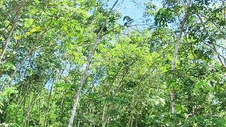 Siang hari di kampung halaman
