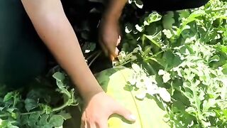 Unique watermelon
