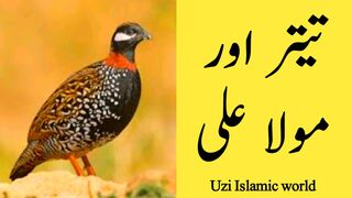 Teetar or Hazrat Ali
