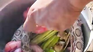Manger du serpent