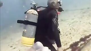 Vie sous marine