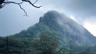 Beautiful view 114