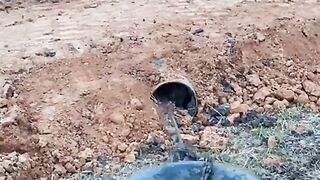 Satisfying unclogging the pipe |asmr
