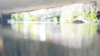 Satisfying relaxing under water scene | Asmr